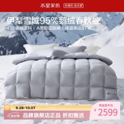 水星家纺 A类抑菌阻螨95%鹅绒春秋被芯防钻绒四季羽绒被子 寒域静暖抗菌鹅绒春秋被220×240cm
