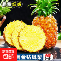 京喜 海南 金钻凤梨 17号 净重4.5‑5斤 3个中果单果1.3‑1.9斤