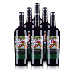 茉莉花 法国（原瓶进口）茉莉花波尔多干红葡萄酒750ml*6