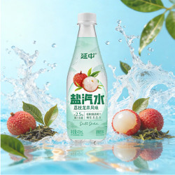 延中 荔枝龙井风味盐汽水 410ml