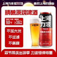 宅家食光：力波啤酒;REEB;R 全麦芽 精酿啤酒  红力波罐 500mL 6罐 组合装 红力波罐 整箱装