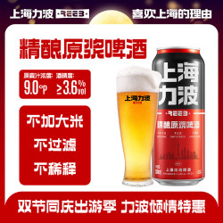 力波啤酒;REEB;R 全麦芽 精酿啤酒  红力波罐 500mL 6罐 组合装 红力波罐 整箱装