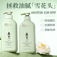 阿道夫 茶麸冰护理袪屑洗发水热护理持久蓬松留香控油洗发膏 冰护理茶麸袪油止痒350ml