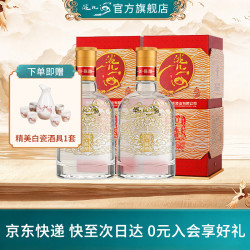 洮儿河 陈酿20年 浓香型纯粮白酒 高端名酒礼品送礼 52度 500mL 2瓶 送礼袋