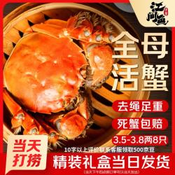 江问鱼 大闸蟹全母3.5两-3.8两 8只装 鲜活螃蟹生鲜中秋礼盒过节送礼