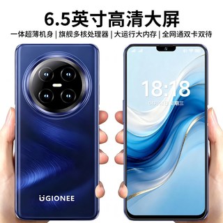 金立 V900 全网通双卡双待 智能手机