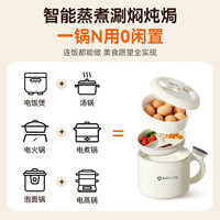 宅家食光:艾美特 多功能一体电饭锅