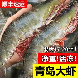嵩海生鲜 大虾鲜活冷冻超大海鲜水产基围虾鲜虾海虾青虾冻对虾特大生鲜虾类