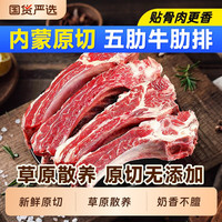 云储生活 内蒙古原切生鲜牛肋排新鲜牛排骨肋排散养牛肉牛肋条贴牛腩烧烤