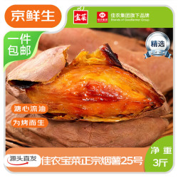 佳农 烟薯25号 山东红薯 3斤