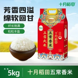 十月稻田 五常香米5kg香甜软糯米香浓郁颗粒饱满东北大米双层真空