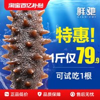 移动端：鲜驰 海参即食刺鲜活淡干海渗辽宁大连瓦房店正品干货海生500g特价装袋