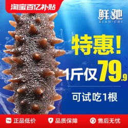 鲜驰 海参即食刺鲜活淡干海渗辽宁大连瓦房店正品干货海生500g特价装袋
