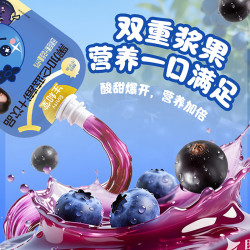 生和堂 本草果汁 金银花双柚汁多款饮品益生元西梅汁休闲饮品 黑加仑蓝莓汁100ml