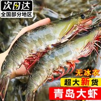 喵鲜岛 鲜活大虾2030规格特大青岛大虾盐冻白虾基围虾新鲜速冻对虾非青虾
