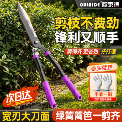 欧莱德 家用园林剪刀园艺草坪剪整篱剪果树绿化修枝剪刀 绿篱剪刀修枝剪