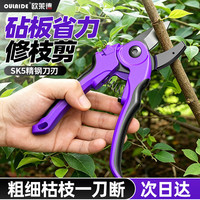 欧莱德 园艺修枝剪果树强力粗枝剪刀家用园林盆栽花艺省力树枝修剪工具