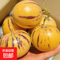 正宗云南石林人参果 带箱3斤净重2.5斤-大果80-100g