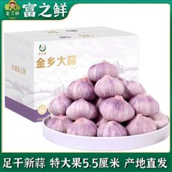 富之鲜 特大果55mm+山东金乡干大蒜紫皮大蒜头批发红皮蒜彩箱