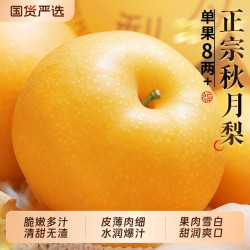 丰沛鲜生 正宗丰水梨秋月梨现摘现发水果新鲜当季冰糖雪梨子大果整箱包邮