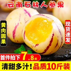 探味君 云南石林人参果10斤新鲜大果应季整箱人叁果水果七彩黄肉圆果包邮