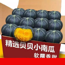 贝贝南瓜 正宗板栗味粉糯新鲜小南瓜栗面老瓜婴儿孕妇粉糯整箱