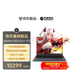 机械革命 蛟龙16Pro 2026款 16英寸 第八代锐龙版 灰色（锐龙R9-8945HX、RTX5060、16GB、1TB、2560*1600、180Hz）