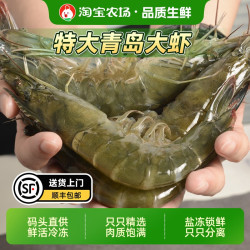 虾有虾途 特大虾鲜活冷冻新鲜虾子青虾基围虾海鲜青岛大虾生鲜白虾水产速冻