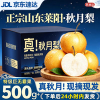 京地达 秋月梨山东正宗莱阳秋月梨子节日送礼净重4.5斤单果500g+源头直发