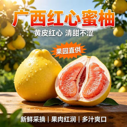 2026年新鲜红心蜜柚正宗老树采摘蜜柚鲜嫩汁水足红柚当季水果柚子