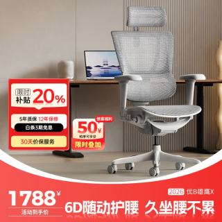 保友办公家具 保友优b2/雄鹰 电脑椅人体工学椅家用 电竞椅办公椅子靠背老板椅 灰框-银白网-尼龙脚 精准承托 舒适久坐