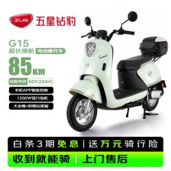 五星钻豹 G15 60V20AH铅酸电池 浅柠绿 电动摩托车