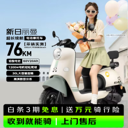 新日 电动摩托车 60V20Ah铅酸电池 烟灰绿