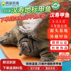芮宝农场 [活鲜]汉寿鲜活净重3-3.5斤5年公甲鱼中华鳖中秋送礼源头直发