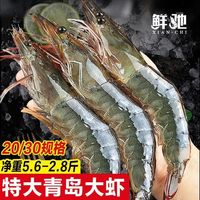 百亿补贴：鲜驰 青岛大虾特大号新鲜冷冻青虾海虾白虾基围虾冻虾海鲜水产批发