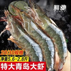 鲜驰 青岛大虾特大号新鲜冷冻青虾海虾白虾基围虾冻虾海鲜水产批发