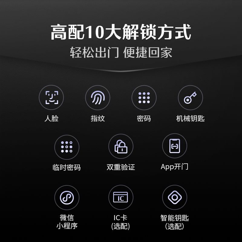 德施曼 V20F WiFi直连 智能门锁