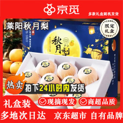 京觅 秋月梨 莱阳秋月梨 6粒 350g起 秋月梨礼盒 水果礼盒源头直发