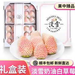 橙市码头 淡雪草莓白粉色草莓日本引进品种圣诞节送女友礼品盒 500g2盒