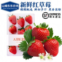 山姆东东农场红草莓 白草莓 O农残大草莓新鲜水果四季草莓 中秋团购礼 1盒红草莓XL果