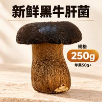 楷美 新鲜黑牛肝菌云南特产菌菇煲汤火锅炒菜鲜货旗舰店顺丰冷链