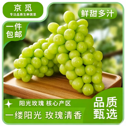 京觅 陕西阳光玫瑰晴王葡萄 净重3斤品质装 单粒10g+ 青提源头直发包邮