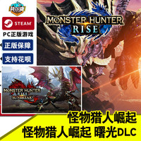 Steam 蒸汽 国区《怪物猎人崛起：曙光》激活码DLC 中文PC游戏
