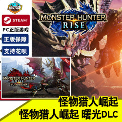 Steam 蒸汽 国区《怪物猎人崛起：曙光》激活码DLC 中文PC游戏