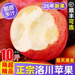 淦橙农源 苹果水果新鲜当季整箱2026正宗陕西洛川产地直发10斤冰糖心红富士