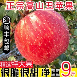 味可鉴 正宗2026大凉山盐源丑苹果新鲜水果冰糖心当季四川红富士礼盒整箱