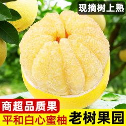 甘福园 福建平和白心蜜柚新鲜当季水果孕妇水晶白肉柚子葡萄琯溪整箱包邮