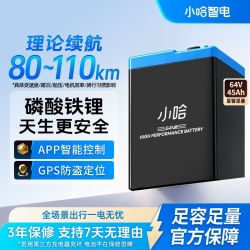 小哈 电动车锂电池 64V45AH 磷酸铁锂