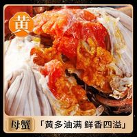 湖中居 苏州大闸蟹 全母蟹 生鲜螃蟹