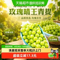 京运达 当季新鲜玫瑰晴王青提品质优选玫瑰芬芳皮薄无涩感生态种植
